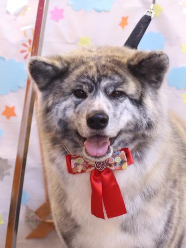 20240521むぎくん